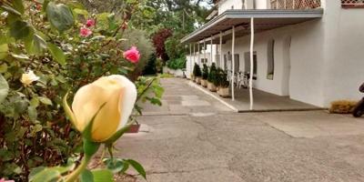 Local comercial en alquiler en Lleida, Cataluña photo 0