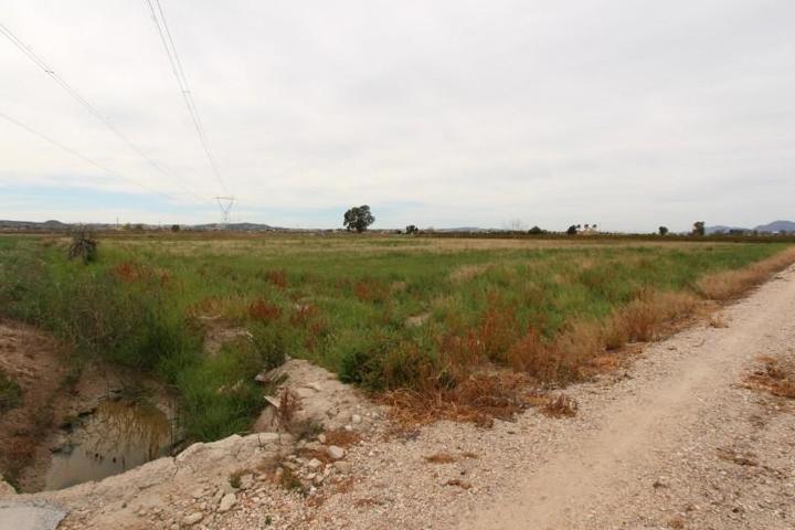 Parcela en venta en San Fulgencio, San Fulgencio photo 0