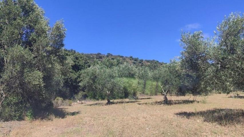 Terreno en venta en Cantallops, Cantallops photo 0