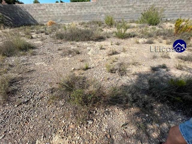 Parcela en venta en Casinos, EL PINAR photo 0