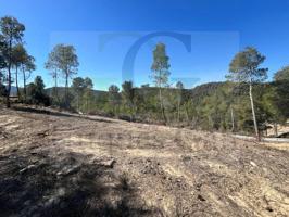 Parcela en venta en Castellgalí photo 0