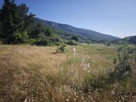 Terreno en venta en Hervás, Polígono 6 Parcela 67 CABEZO. HERVAS (C…, 10700 photo 0