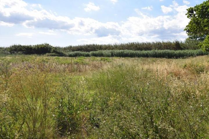 Terreno en venta en Muro, Muro photo 0