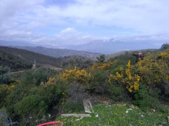 Terreno en venta en Monda, Monda photo 0