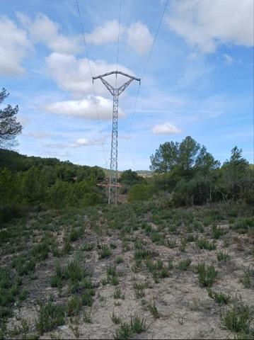 Terreno en venta en Corbera d'Ebre, Corbera d`ebre photo 0