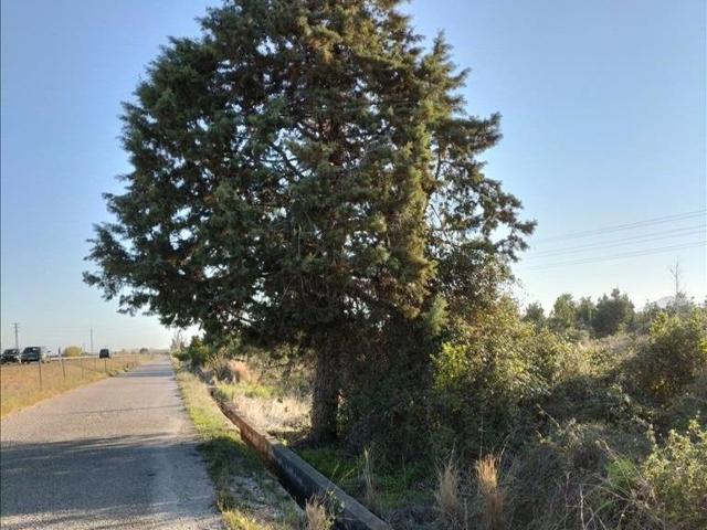 Terreno en venta en Carcaixent, Centro photo 0