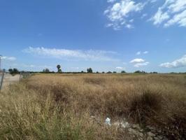 Terreno en venta en Benimuslem, Benimuslem photo 0