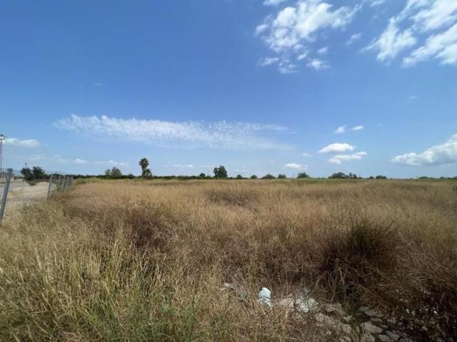Terreno en venta en Benimuslem, Benimuslem photo 0