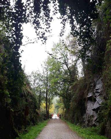 Terreno en venta en Baños de Montemayor, Avenida las Termas, 10750 photo 0