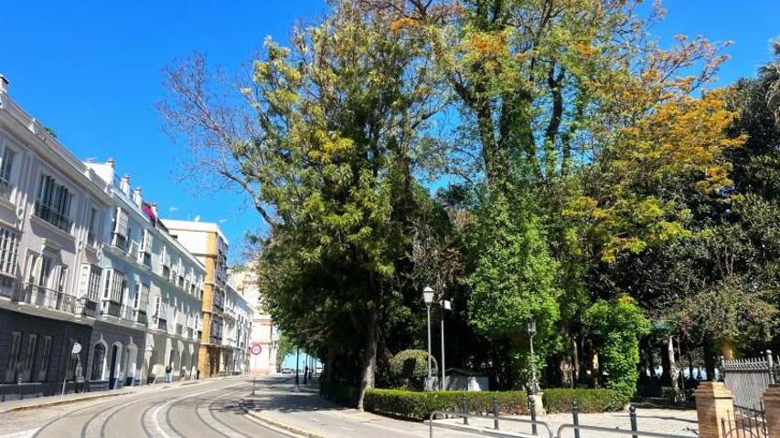 Piso en alquiler en Cádiz, Mentidero - Teatro Falla - Alameda photo 0