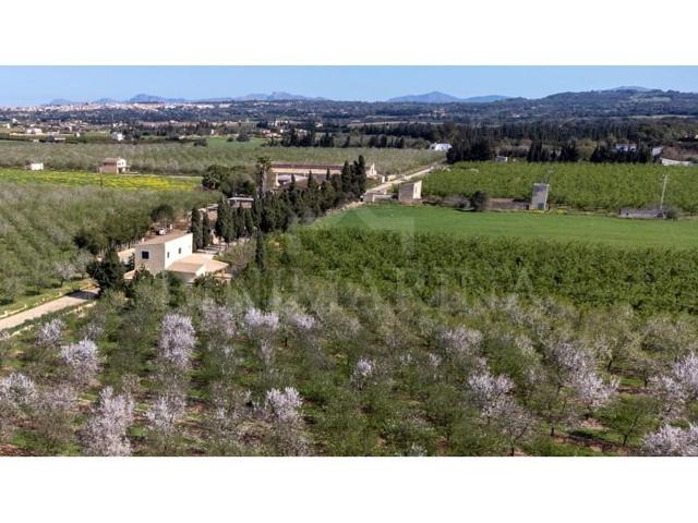 Chalet en alquiler en Llubí photo 0