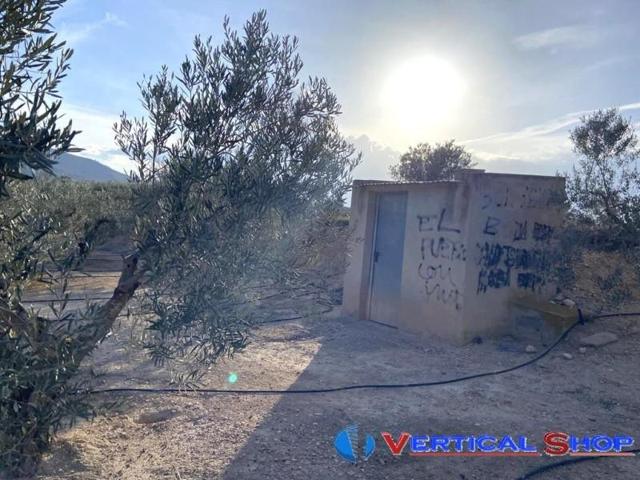 Terreno en venta en Caudete, Bonaire photo 0