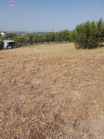 Parcela en venta en Arcos de la Frontera, El Romeral photo 0