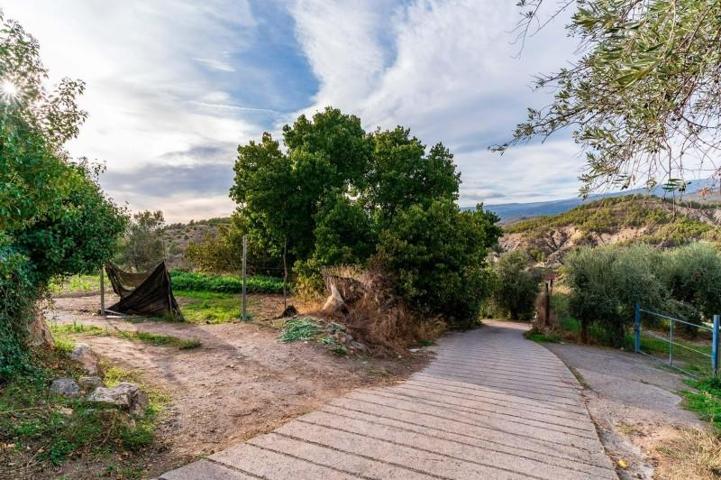 Terreno en venta en Alcolea, South of spain photo 0