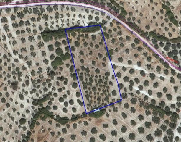 Terreno en venta en Lucena, Lucena photo 0