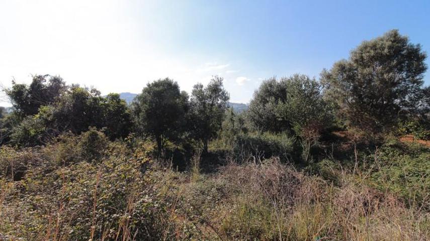 Terreno en venta en Denia photo 0