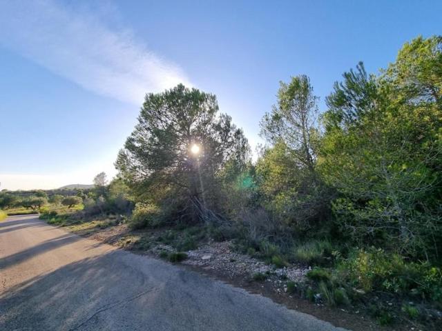 Terreno en venta en L'Ametlla de Mar, Afueras del pueblo photo 0