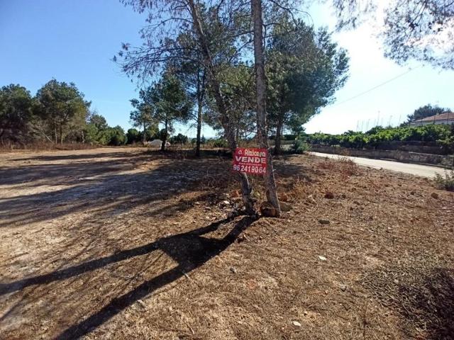 Parcela en venta en Alberic, URB. SAN CRISTÓBAL photo 0