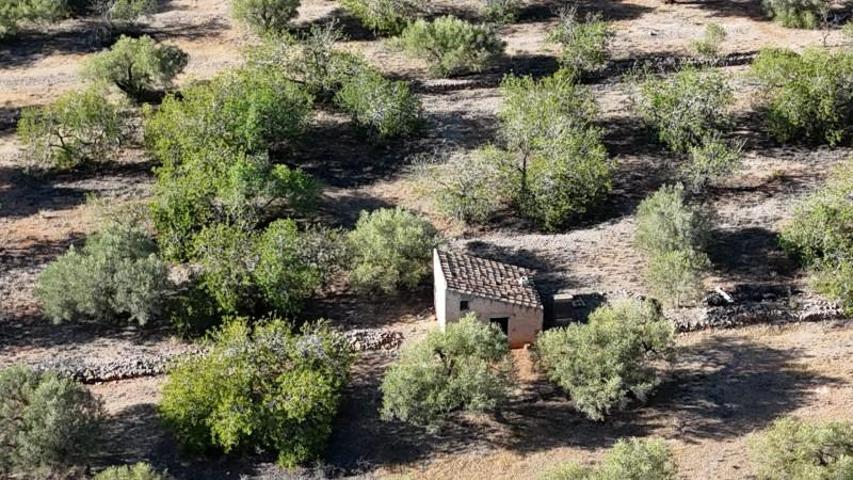 Chalet en venta en L'Ametlla de Mar, LAmetlla de Mar photo 0