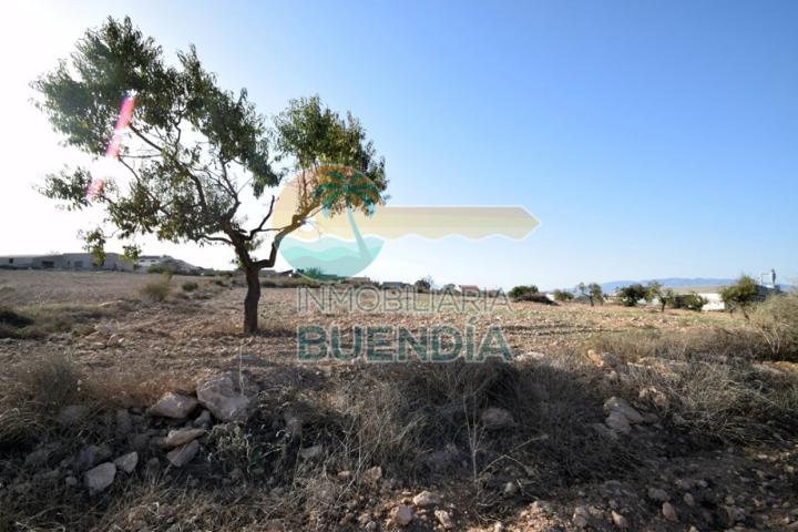 Terreno en venta en Fuente Álamo de Murcia, LAS PALAS photo 0