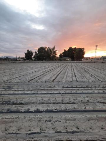 Terreno en venta en Lorca, Campillo photo 0