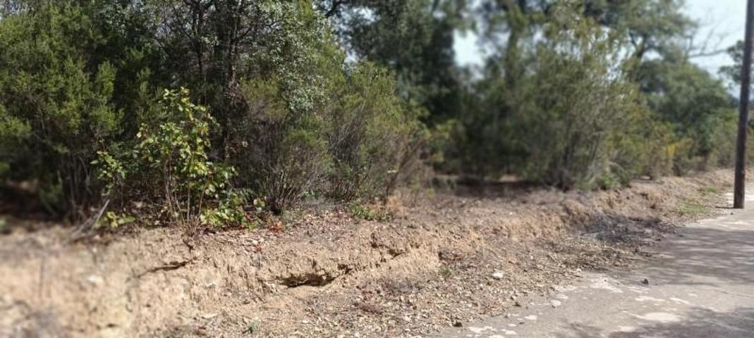 Parcela en venta en Campins, Campins (les esplanes) photo 0