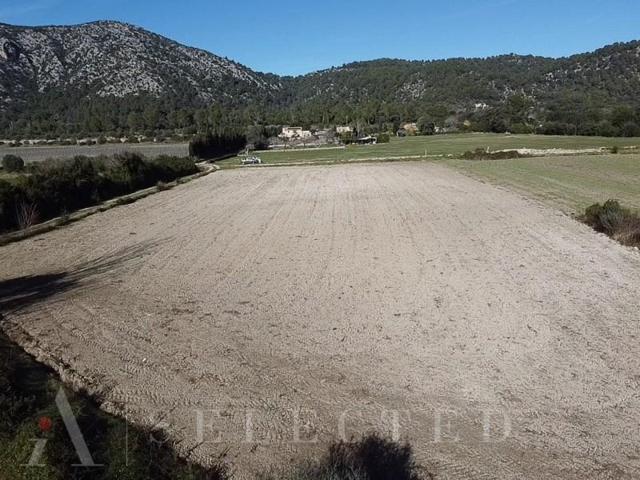 Terreno en venta en Pollença photo 0