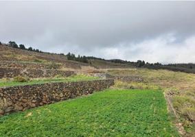 Terreno en venta en San Miguel de Abona, Tamaide-El Roque photo 0