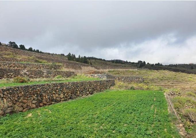 Terreno en venta en San Miguel de Abona, Tamaide-El Roque photo 0