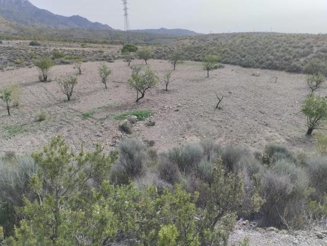 Terreno en venta en Lorca, La Hoya photo 0