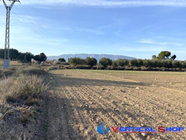 Terreno en venta en Caudete, Polideportivo photo 0