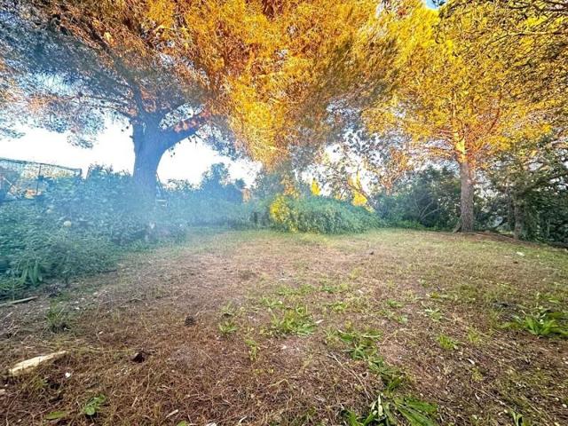 Casa con terreno en venta en Amposta photo 0