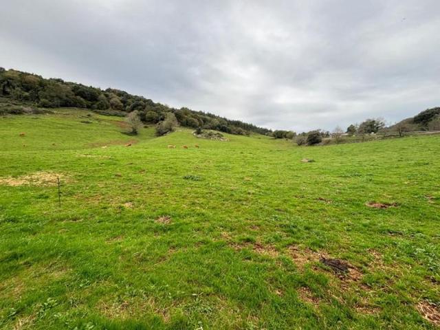 Casa en venta en Bareyo, Guemes photo 0