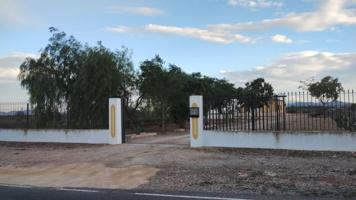 Casa con terreno en venta en Fuente Álamo de Murcia, Campillo de arriba photo 0