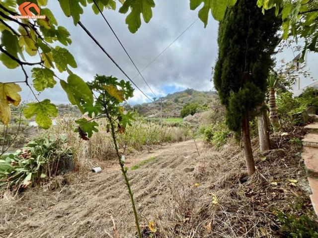 Casa con terreno en venta en Vega de San Mateo, Arinez gran canaria photo 0