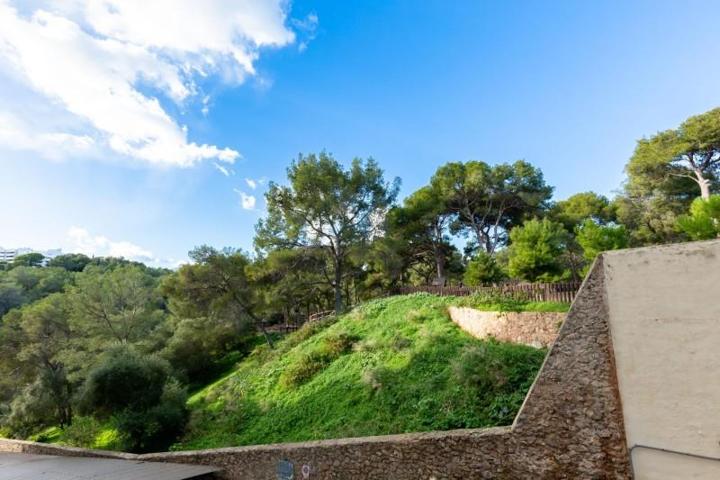 Local comercial en venta en Mallorca, El Terreno photo 0