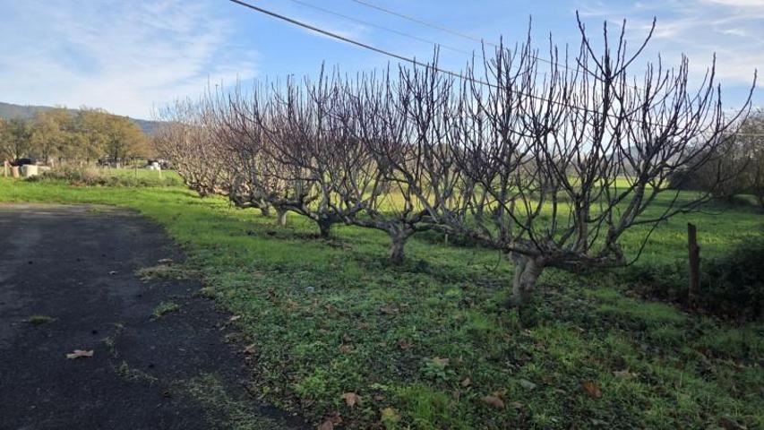 Terreno en venta en Derio, Zamudio photo 0