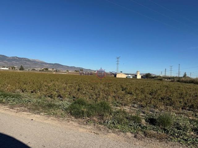 Terreno en venta en Totana photo 0