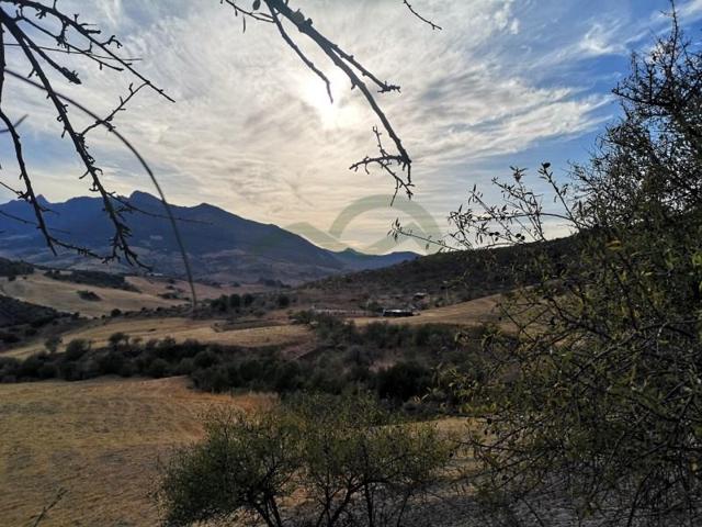 Terreno en venta en Ronda photo 0