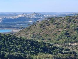 Chalet en venta en El Bosque, Andalucia photo 0