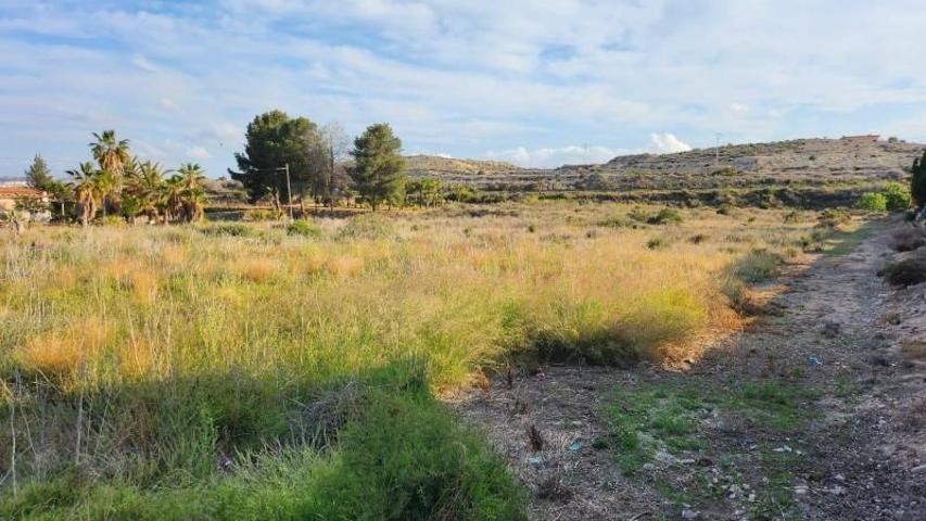Terreno en venta en Novelda, Comunidad valenciana photo 0
