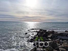 Planta baja en alquiler en Algarrobo, Playa mezquitilla photo 0