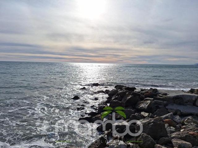 Planta baja en alquiler en Algarrobo, Playa mezquitilla photo 0