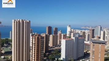 Apartamento en alquiler en Benidorm, Avenida Europa photo 0