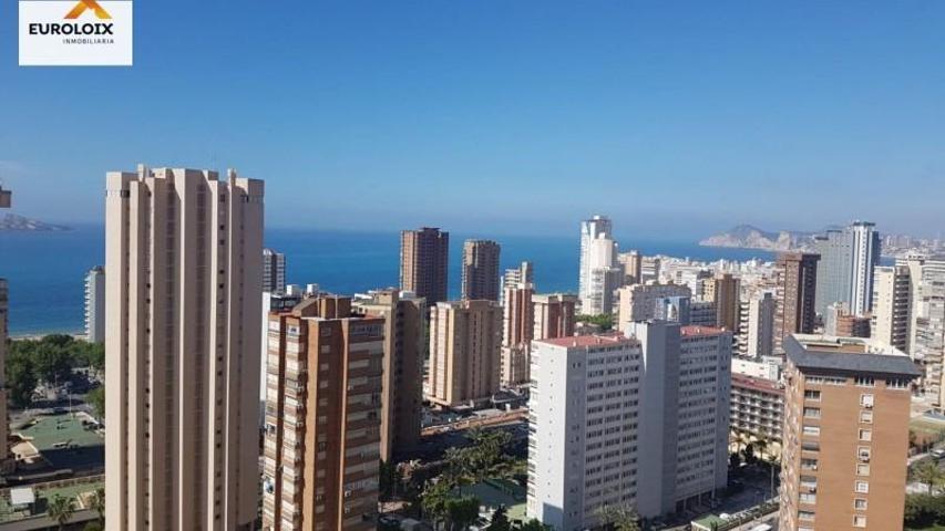 Apartamento en alquiler en Benidorm, Avenida Europa photo 0