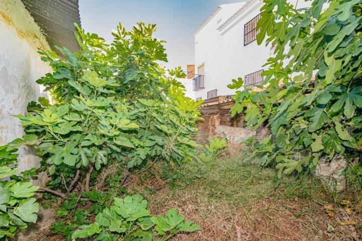 Casas de pueblo en venta en Loja, Cerca de iznajar photo 0