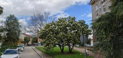 Piso en venta en Córdoba, Av. Barcelona - Viñuela - Rescatado photo 0