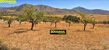 Terreno en venta en Abanilla, El canton photo 0