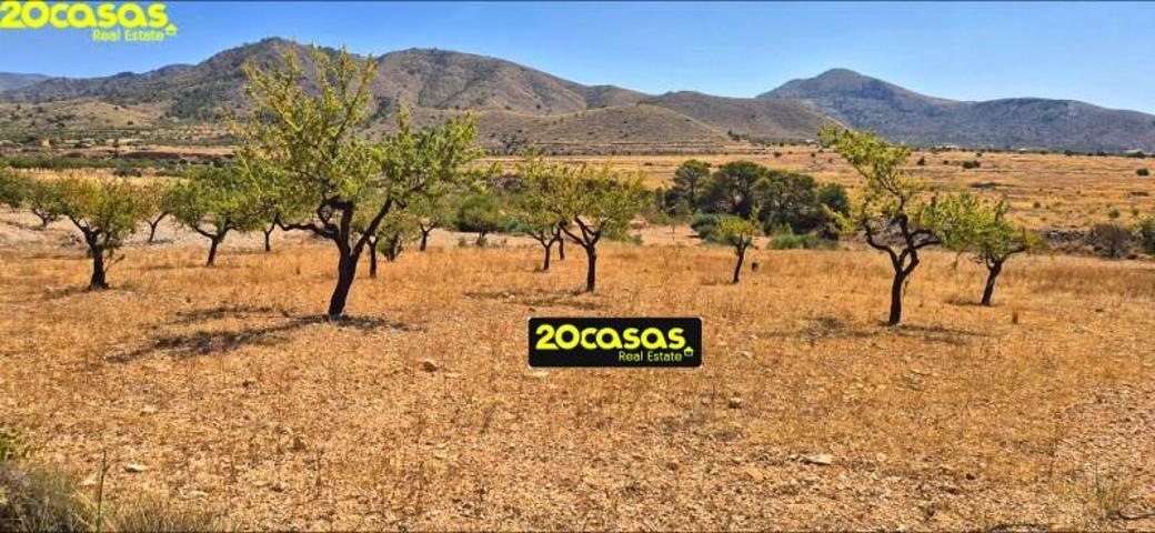 Terreno en venta en Abanilla, El canton photo 0