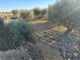 Terreno en venta en Villamayor de Gállego, Aragon photo 0